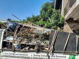 Best Basement Cleanout  in Wathena, KS